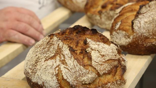 Mehrere Laibe frisch gebackenes Brot liegen auf einem Holzregal.