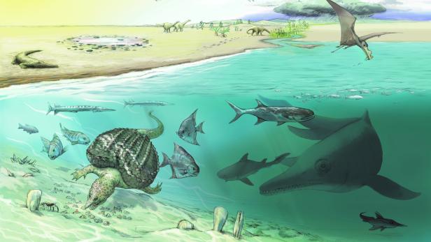 Auf 2.800 Metern: Riesige Fischsaurier in den Hochalpen gefunden
