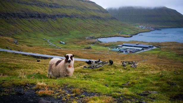 FILES-FAROE ISLANDS-NATURE-HISTORY-ANTHROPOLOGY-ARCHAEOLOGY
