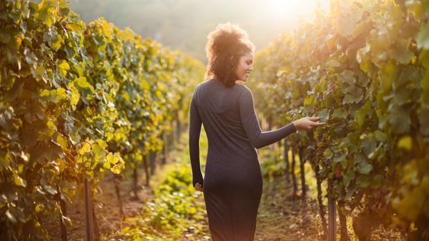 Ingelheim am Rhein: Frau läuft durch Weinreben.