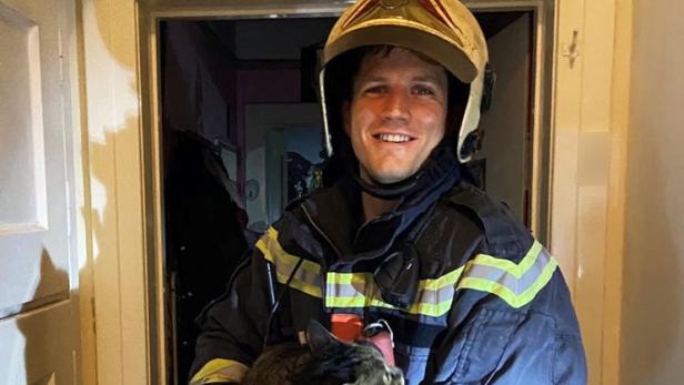 Zimmerbrand in Wien-Mariahilf: Mann, zwei Katzen und Hund gerettet