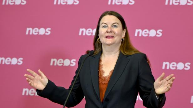Neos-Analyse: 6,6 Milliarden für Finanzminister wegen kalter Progression