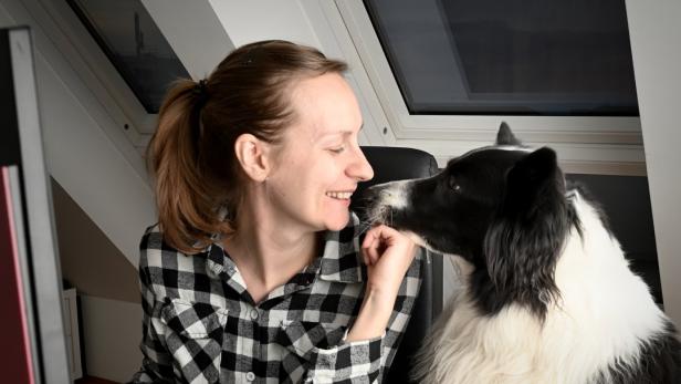 Mit Hund ins Büro: So klappt es mit den tierischen Kollegen