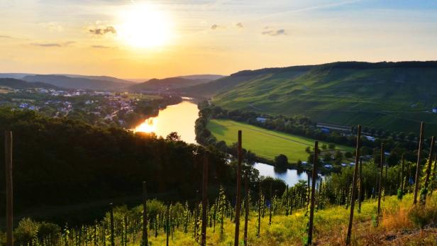 5 schöne europäische Weinregionen für den Rad- oder Wanderurlaub