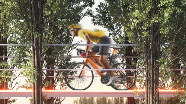 Neue Radwegenetze zwischen Baumwipfeln