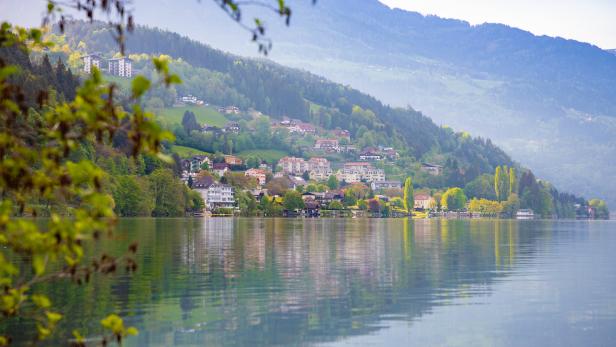 Kärnten: Tote Boa Constrictor im Ossiacher See gefunden