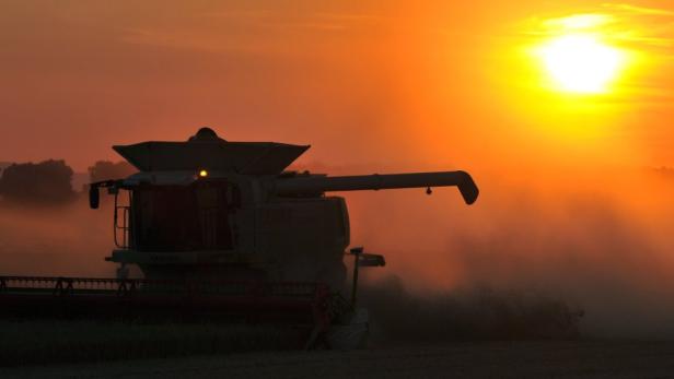 Ein Mähdrescher arbeitet bei Sonnenaufgang auf einem Feld.