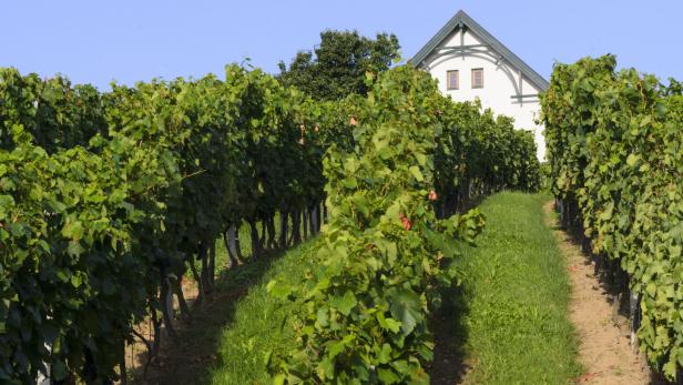 Südburgenland, Kellerstöckl Deutsch Schützen-Eisenberg