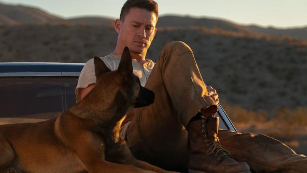 Filmkritik "Dog": Einen Armeehund zu einer Beerdigung begleiten