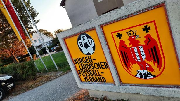 Wirbel im Fußball-Unterhaus: Ex-Sportminister gegen Ex-Top-Schiri