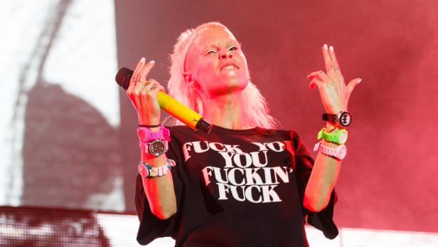 Die Antwoord