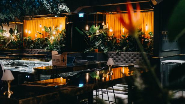 Innenansicht einer Bar mit Pflanzen, gedämpftem Licht und einer Gin-&-Sul-Kiste.