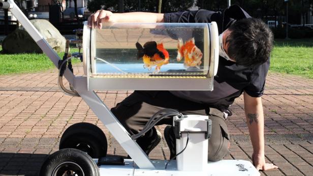 Jerry Huang mit seinem Fischwagen