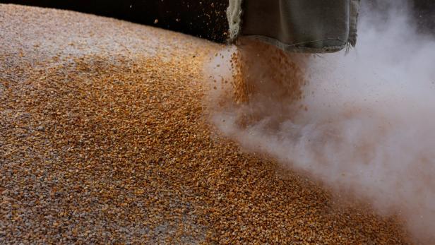 Getreide wird in eine Mühle in der Ukraine gebracht