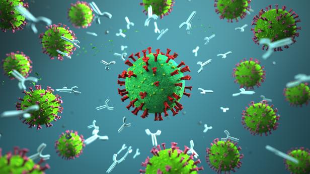 Antibodies against the coronavirus