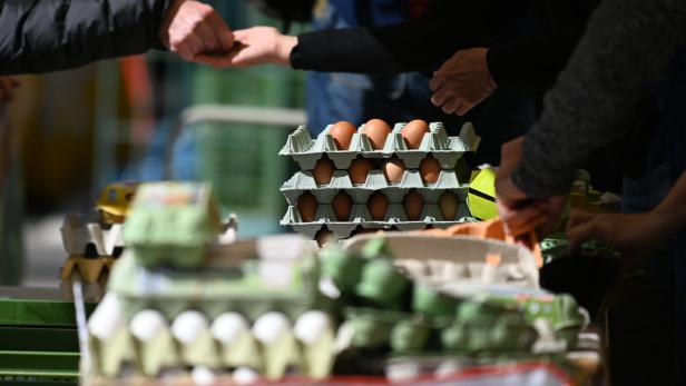ÖVP und Grüne wollen längere Haltbarkeitsangaben für Eier