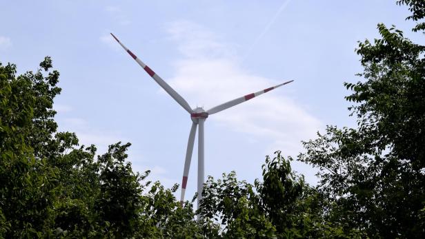 In drei von fünf Gemeinden entschieden sich die Bürger für Windkraftanlagen