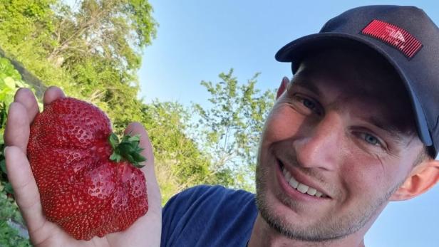 Rekorde 2022: Größte Erdbeere, älteste Erdbeer-Gemeinde, längster Rückwärtslauf