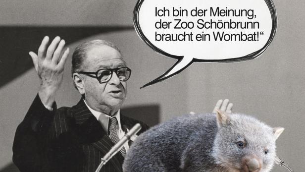 Wiener wollen einen Wombat: Initiative ruft zum Flashmob in Schönbrunn auf
