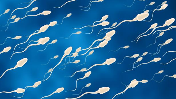 sperm cells moving