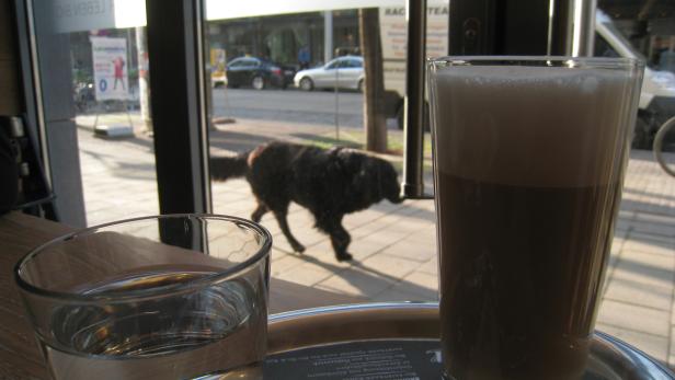 Lecker: Kaffee mit viel Milch und einem Hund drinnen – erst anklicken, dann austrinken