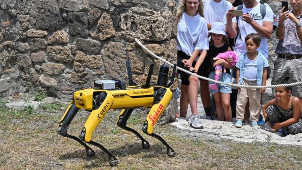 Auf Simmering folgt Pompeji: Roboterhund wacht über Anlage