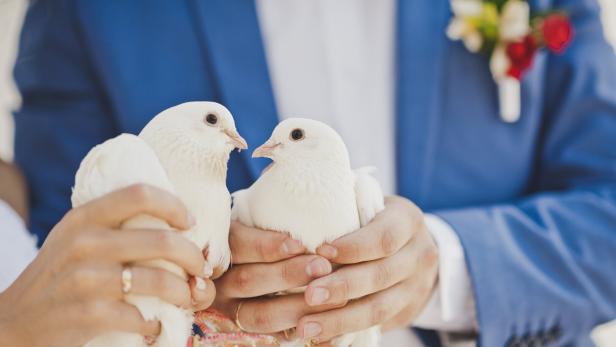 Braut und Bräutigam halten zwei weiße Tauben.