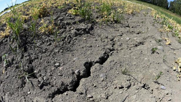 Erosionsschäden: Gemeinde will Bauern in Pflicht nehmen