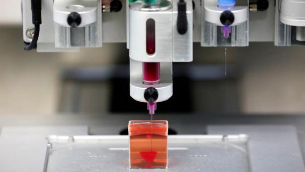 Dieses Mini-Herz haben 2019 israelische Forscher mit Hilfe eines 3-D-Druckers erzeugt. Es hat die Größe einer Kirsche, schlagen kann es aber nicht.