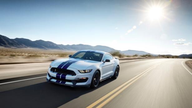 Ein weißer Ford Mustang Shelby GT350 fährt auf einer Landstraße.