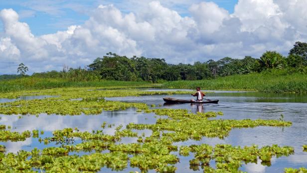 Abenteuer Amazonas-Kreuzfahrt: Der Delfin trägt Rosa
