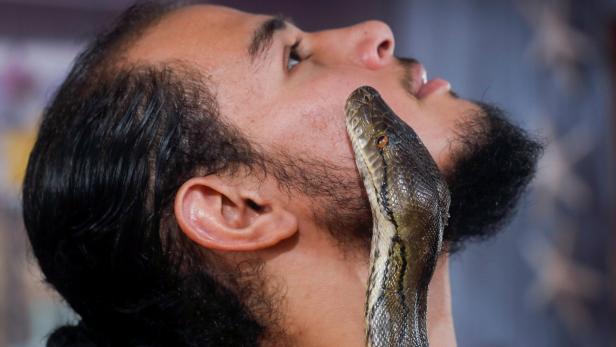 Konfrontationstherapie: So bezwingen Sie Ihre Schlangenphobie