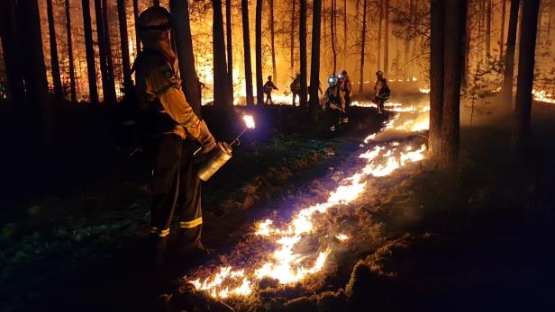 Waldbrand bei Beelitz Waldbrände nehmen in Deutschland zu. Hier legen Einsatzkräfte bei Beelitz, Brandenburg, Gegenfeuer, um eine weitere Ausbreitung des Waldbrandes zu verhindern.