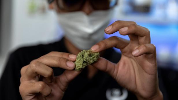 UN-Drogenbericht: Cannabiskonsum belastet Gesundheitssysteme