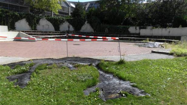 Altlasten im Wiener Tierschutzhaus stinken zum Himmel