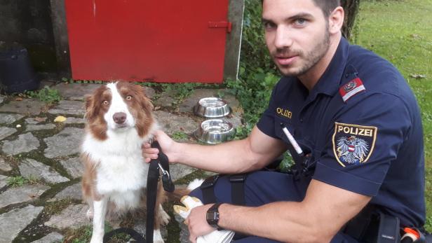 Ein österreichischer Polizist sitzt neben einem Border Collie mit braun-weißem Fell.