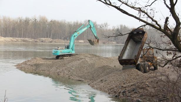 Donaugemeinde ließ Flutgefahr durch Schlammdecke prüfen