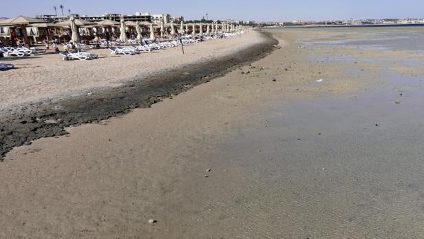 Zweite tödliche Hai-Attacke bei Hurghada