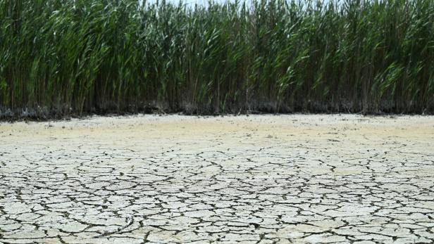 Klimawandel bringt Trockengebiets-Mechanismen auch in feuchtere Zonen