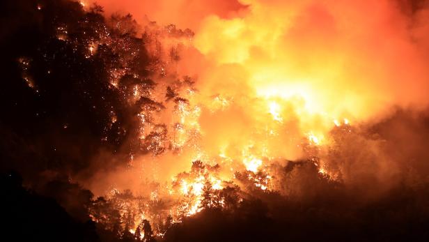 Großbrand in Istrien: 35 Hektar Wald in wenigen Stunden abgebrannt