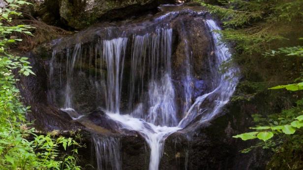 Wasserfälle in Niederösterreich: Dem wilden Wasser auf der Spur
