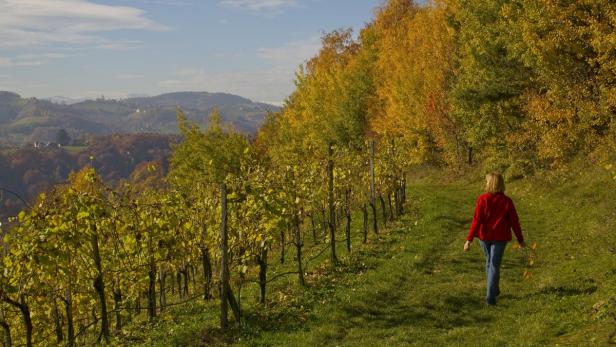 Der steirische Herbst spielt nicht nur in der Kulturlandschaft eine Rolle, sondern wird auch für den Tourismus immer wichtiger