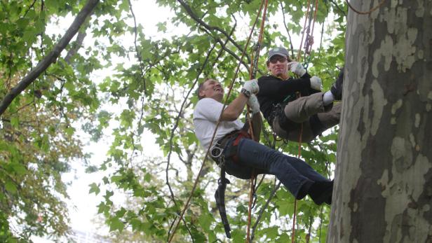 Wenn die Bank zu den Kunden kommt