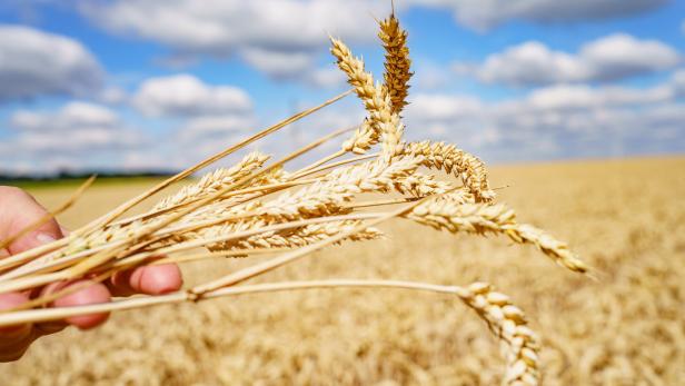 Ukraine: Einigung über Getreidelieferung in Reichweite