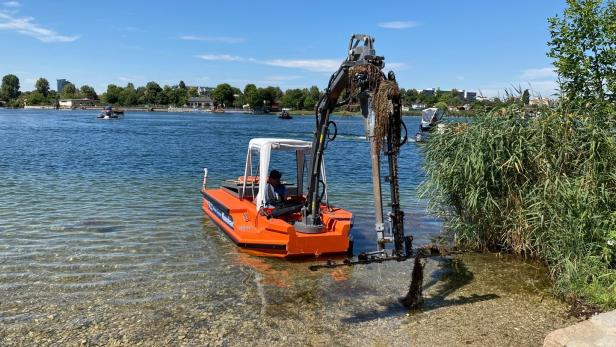 Alte Donau wird badefit gemacht: 1.000 Tonnen Mähgut entfernt