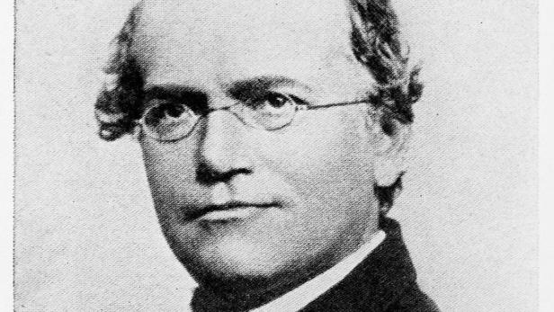Wie Gregor Mendel die Grundregeln der Genetik und die Welt ihn (wieder-)entdeckte