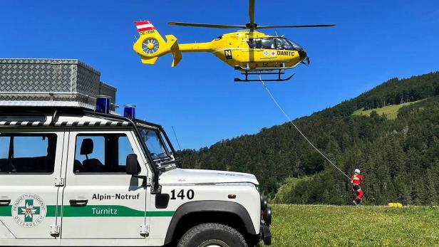 Wanderin in Niederösterreich von Kuh attackiert und verletzt