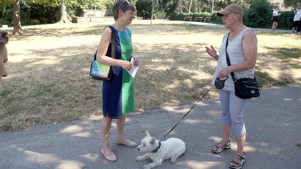 Hunde-Dialog im Park – oder: Frau Wohlgemut liest das „sicher nicht“