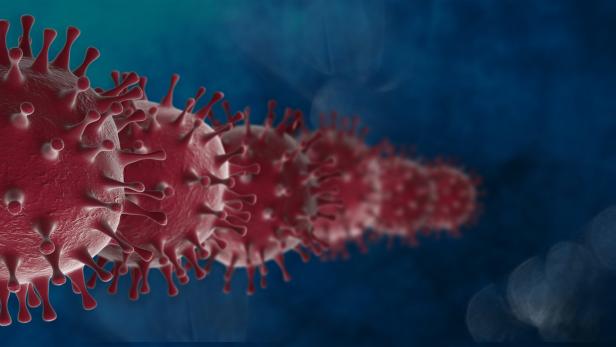 Virologin Dorothee von Laer: "Die Pandemie ist am Auslaufen"