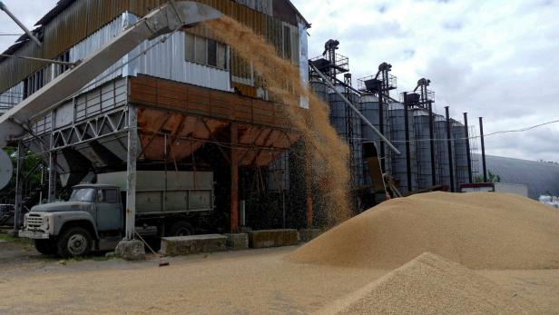 Ukraine warnt vor Verzögerungen bei Getreide-Exporten